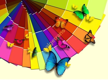 KOLORY i OZNAKOWANIE POJEMNIKÓW